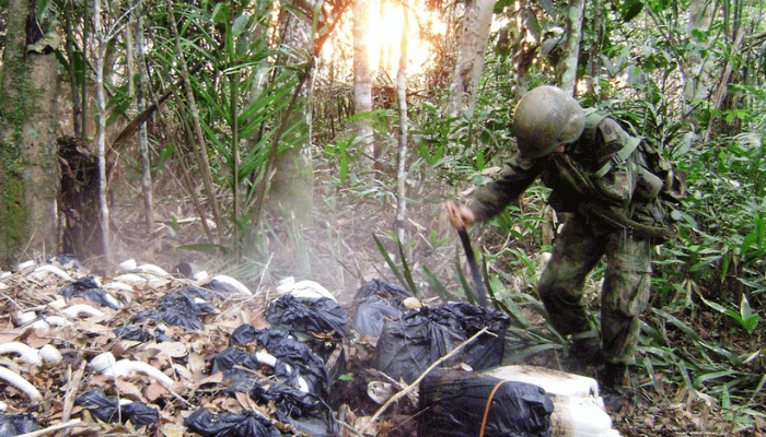 Drug and Agriculture: The Trap of Legitimacy Behind the FARC Drug Trade